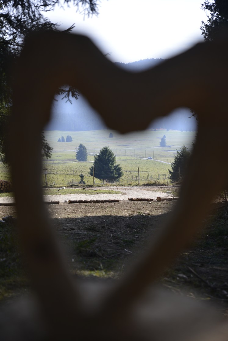 IL CANSIGLIO / CANSIGLIO&nbsp;FOREST