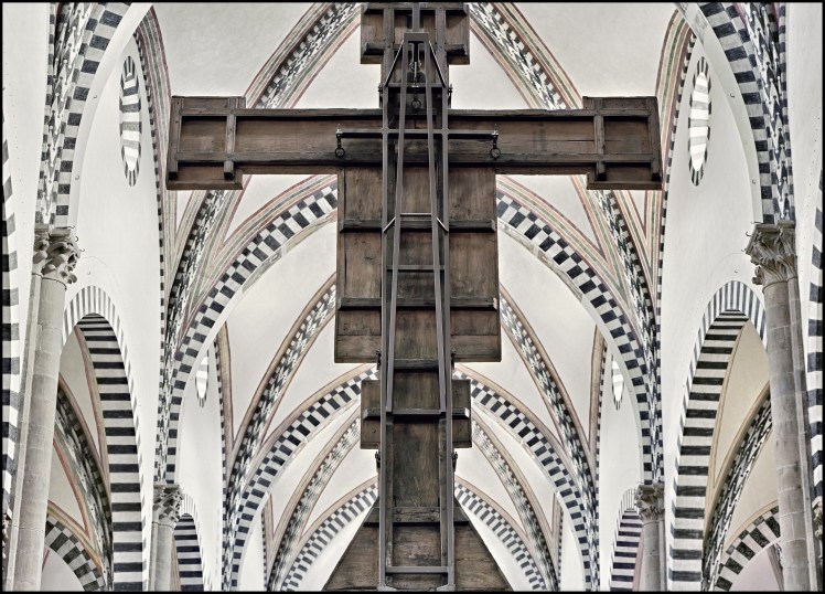 NEWS. 50 YEARS, A&nbsp;DAY